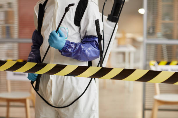 Professional Biohazard Cleanup technician working in Webster, TX